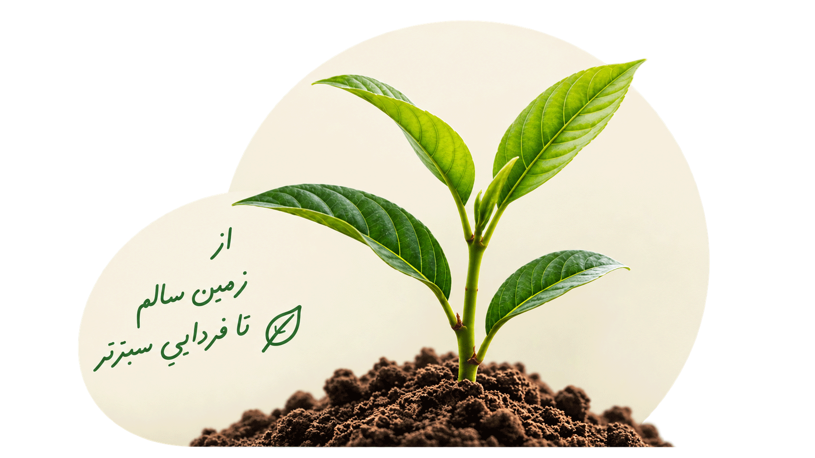 کلینیک گیاه پزشکی نهال